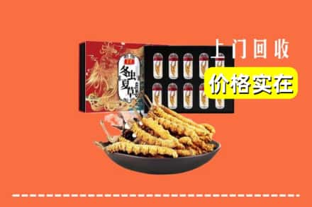 安溪县回收冬虫夏草
