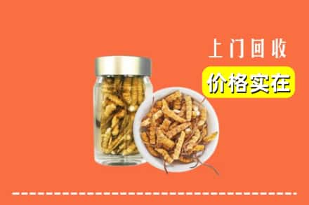 收购资讯:安溪县回收散虫草